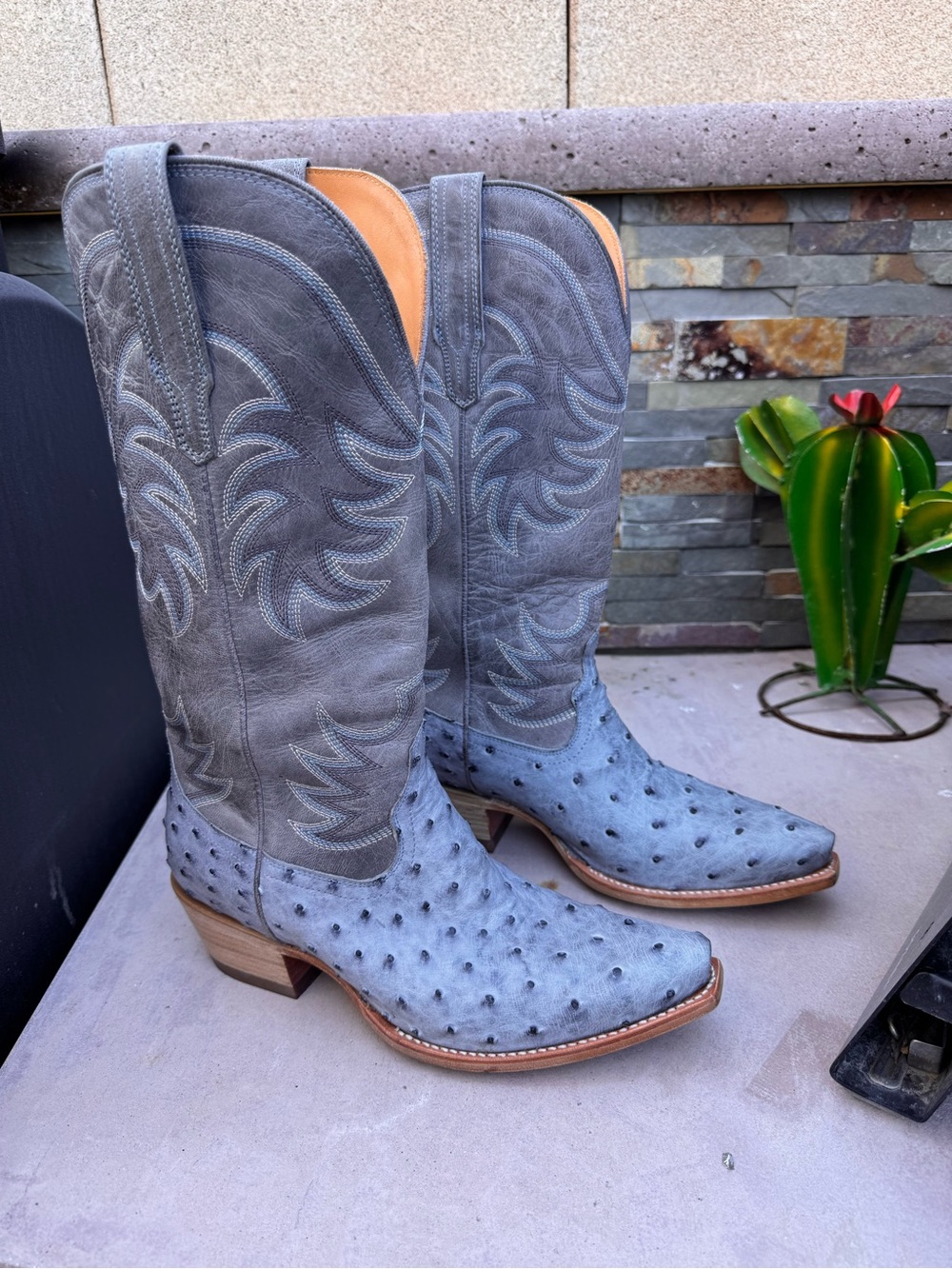 Tecovas Chambray Ostrich Annie